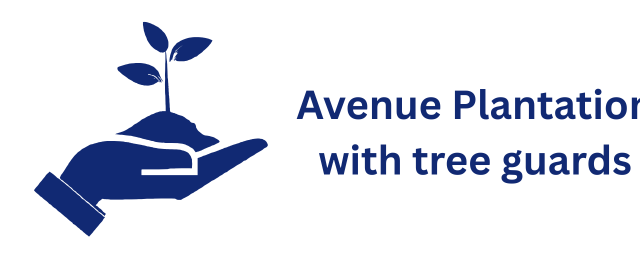 Avenue Plantation with tree guards